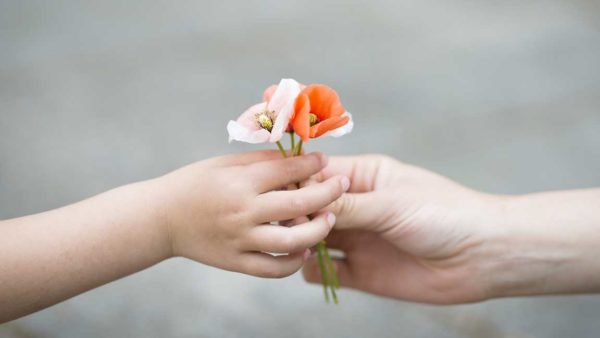 Parents hands handing poppy flowers