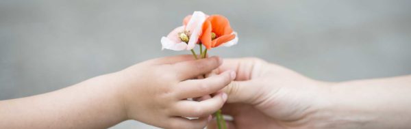 Parents hands handing poppy flowers