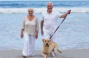 Seniors walking dog on beach.