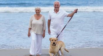 Seniors walking dog on beach.