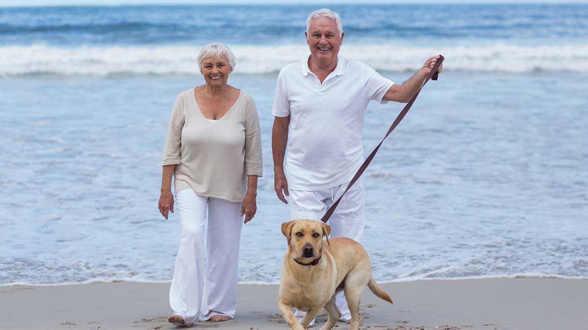 Seniors walking dog on beach.