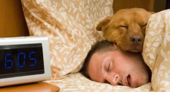 Man and his dog comfortably sleeping in.