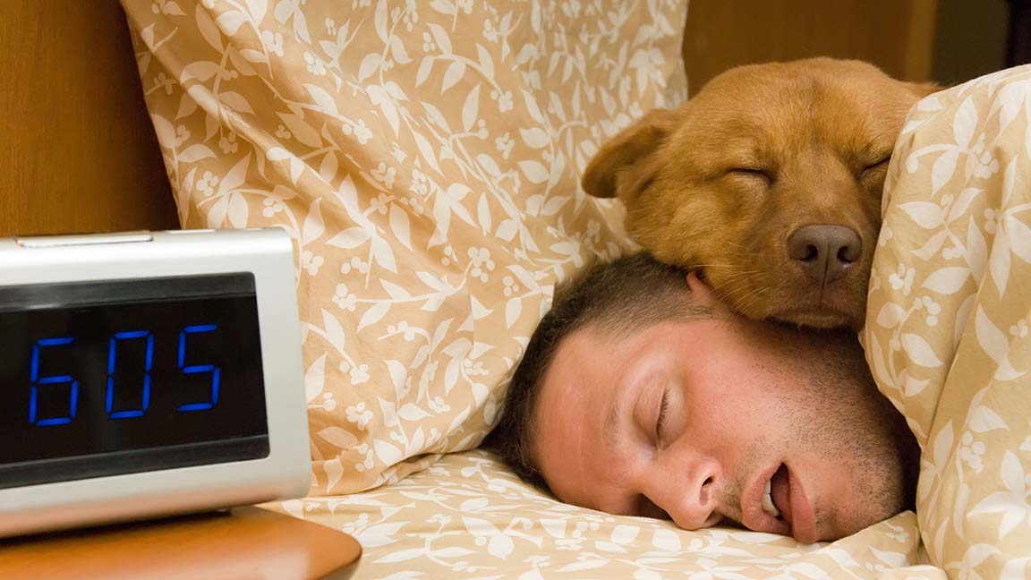 Man and his dog comfortably sleeping in.