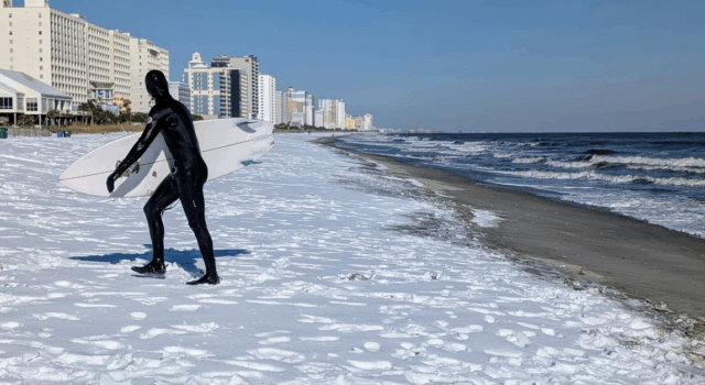 A surfer coming out of the ocean wearing a black wetsuit and holding a white surfboard. There is snow on the beach.